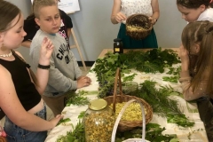 aromatycznie1-08