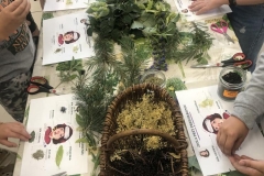 aromatycznie1-12