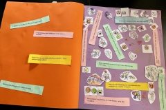 Dzien-Dobrych-Wiadomosci-04