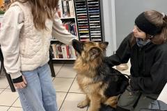 Funny-Pets-_5