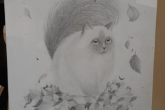 misz_masz-14