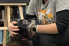 przyjaciel_zwierzat_3