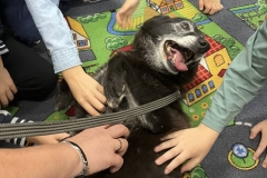 przyjaciel_zwierzat_5