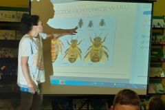 spotkanie_o_pszczolach-02