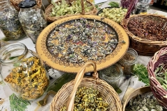 Warsztaty-ziolowe-07