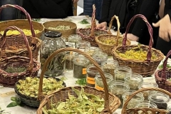 Warsztaty-ziolowe-09