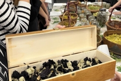 Warsztaty-ziolowe-11