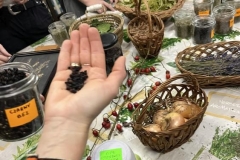 Warsztaty-ziolowe-12