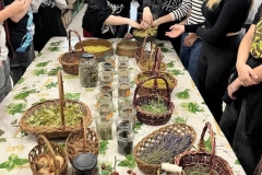 Warsztaty-ziolowe-13