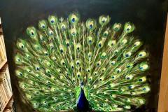 Wernisaż wystawy Wiktorii Markiewicz.