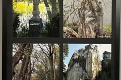 Wystawa-fotograficzna-02