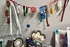 zbiorka-dla-schroniska-3