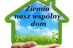 domek1