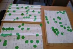 zielone_pluca-09