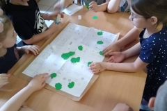 zielone_pluca-11