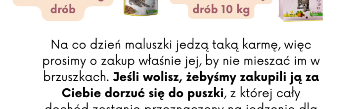 Zbiórka dla Schroniska „Funny – Pets” w Czartkach.